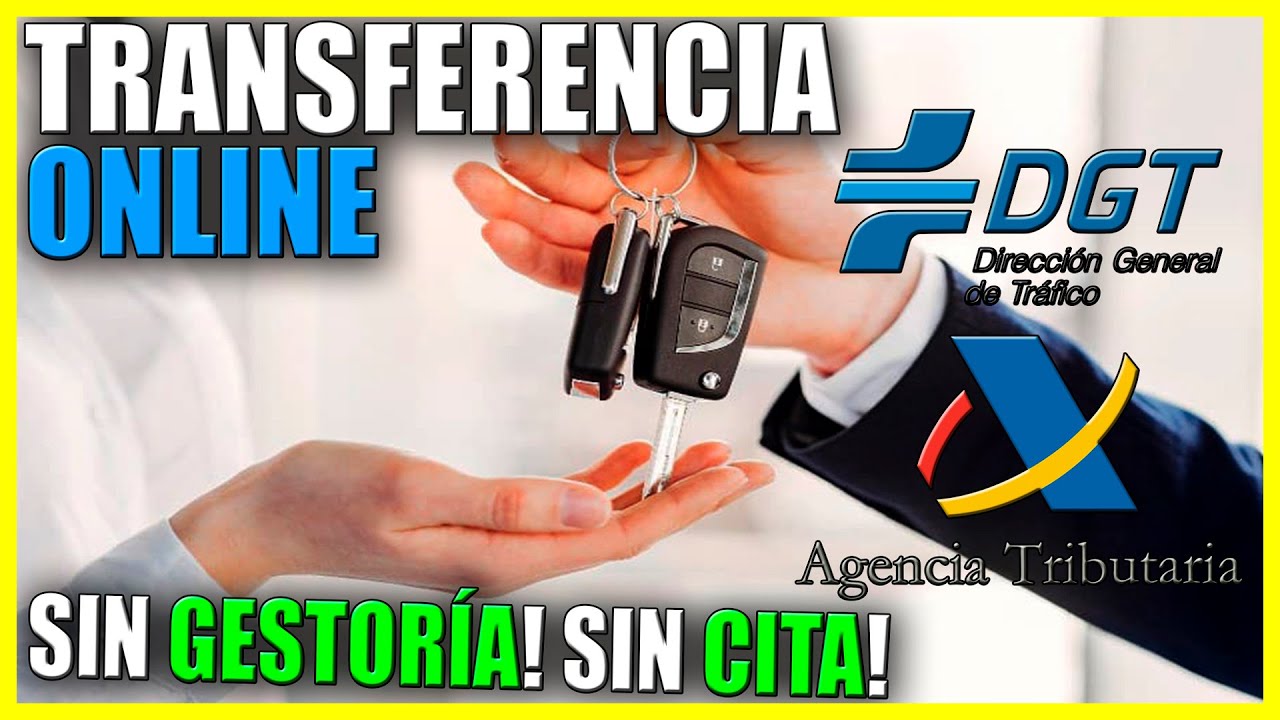 cambio de servicio público a particular dgt