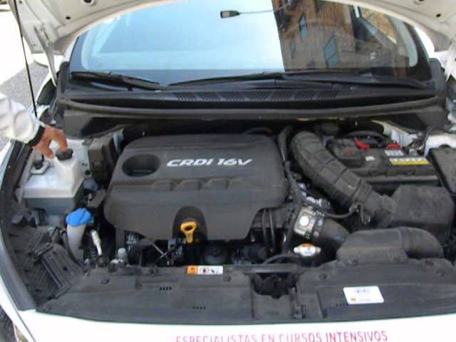examen partes del capó de un coche