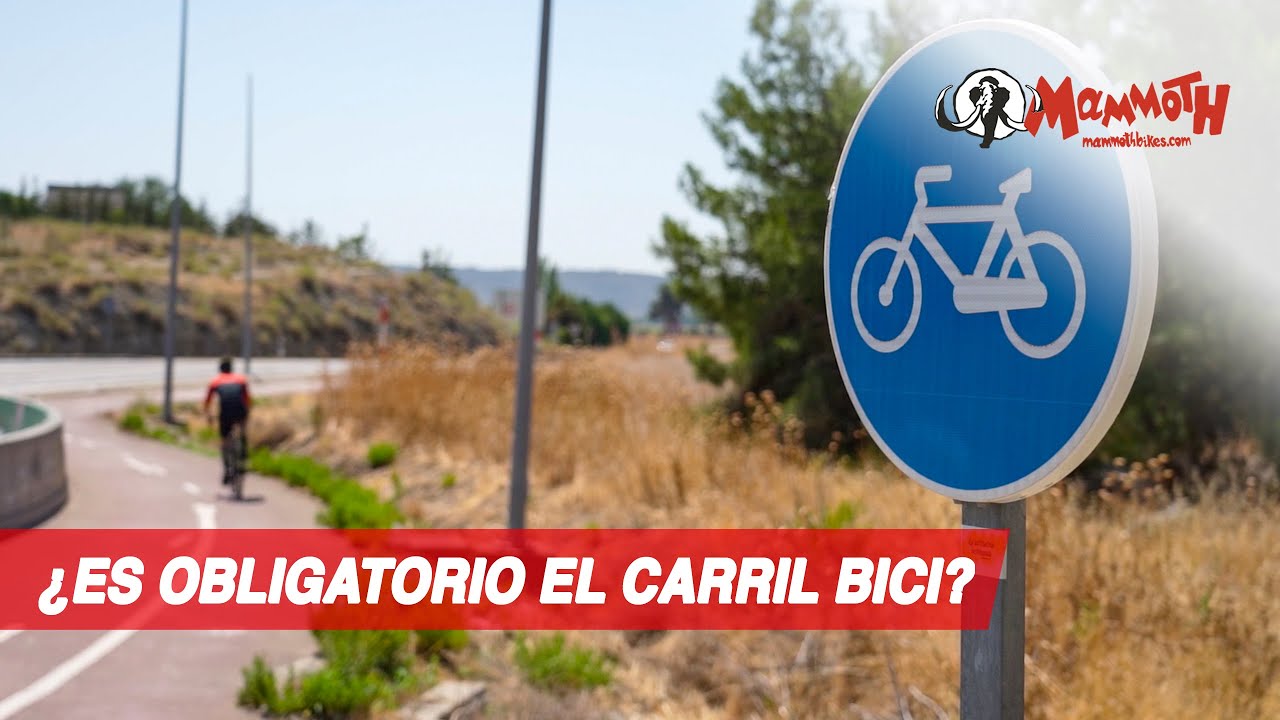 area de la calzada destinada a las bicicletas