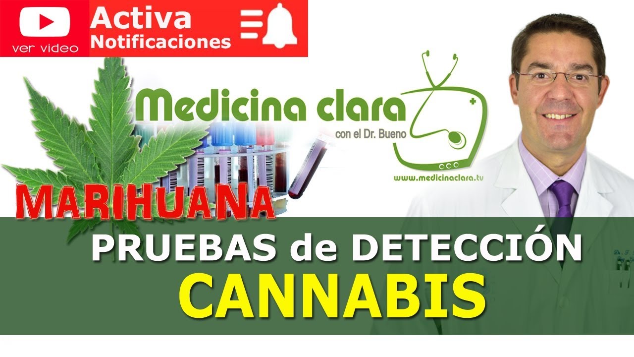 como no dar positivo en thc