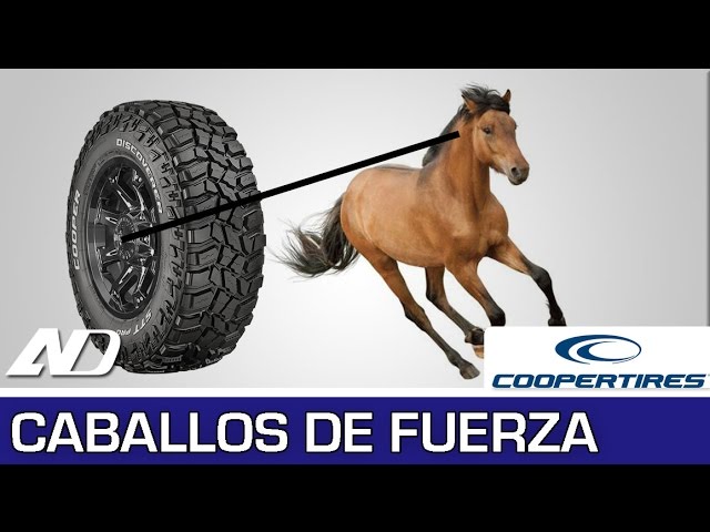 como sacar los caballos de un coche