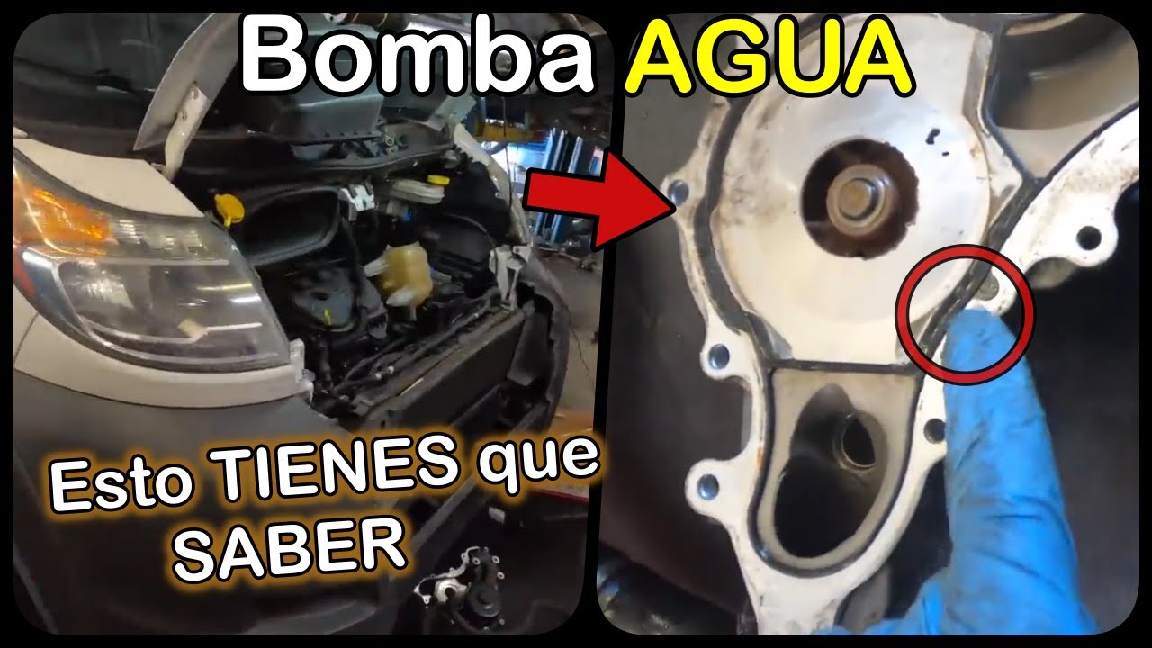 pérdida de anticongelante por la bomba de agua